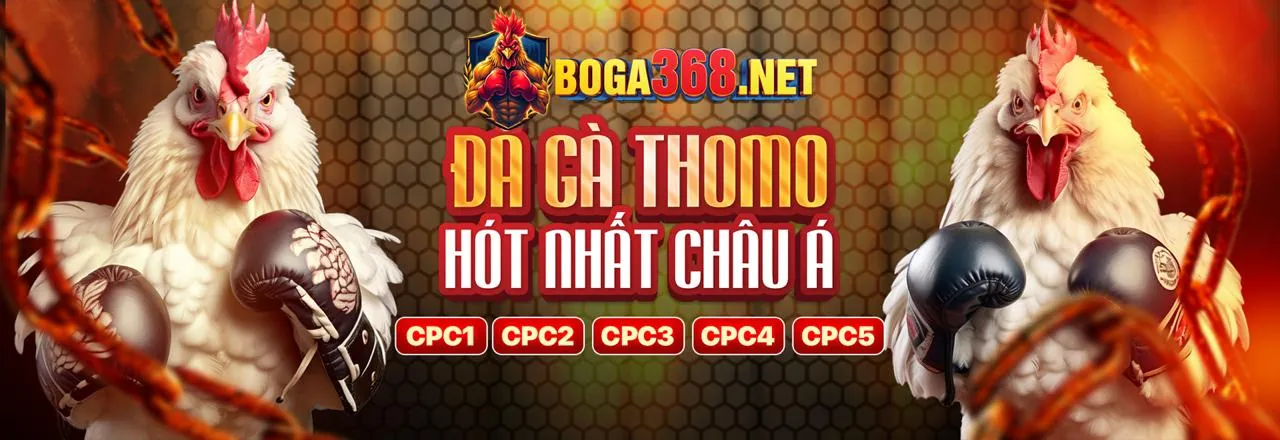Hình ảnh hỗ trợ khách hàng Xin88 App